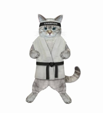 Kimonolu bir küllü kedi karate atleti egzersiz yapıyor. Beyaz arka plan. İzole edilmiş.