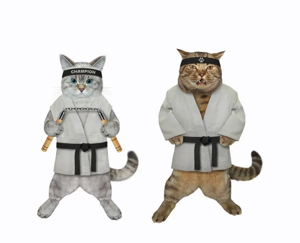 Dwa Koty Karate Sportowcy Nunchucks Ćwiczą Białe Tło Izolacja — Zdjęcie stockowe