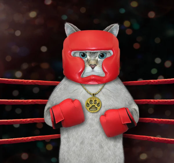 Atleta Gato Ceniza Uniforme Boxeo Rojo Con Una Medalla Oro — Foto de Stock