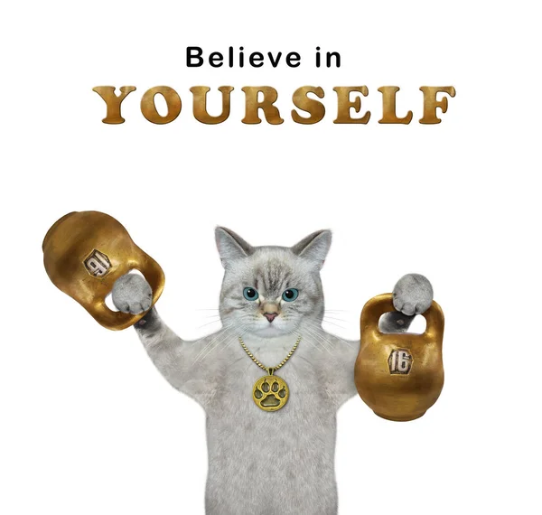 Ashen Cat Athlete Lifts Two Golden Sixteen Kilogram Kettlebells Believe — Stock Photo, Image