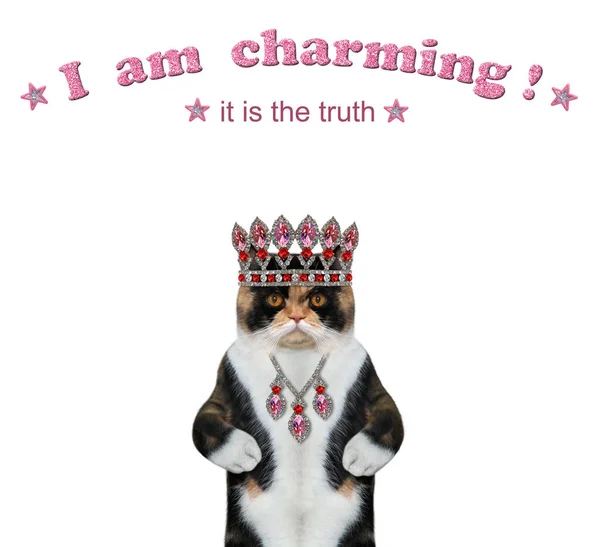 Barevná Kočka Nosí Diadém Přívěšek Jsem Okouzlující Bílé Pozadí Izolované — Stock fotografie