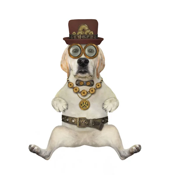 Собака Лабрадор Носит Стимпанк Шляпу Металлический Ремень Галстук Очки Белый — стоковое фото