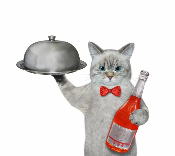 Garçom Gato Com Laço Vermelho Segura Coágulo Restaurante Uma Garrafa — Fotografia de Stock