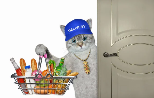 一个戴着蓝色帽子的灰蒙蒙的猫信使送来一个装有食物的金属购物篮 白色背景 被隔离了 — 图库照片