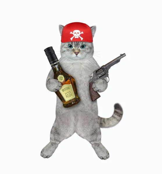 Ένας Πειρατής Γάτα Τέφρα Κρατά Ένα Μπουκάλι Ρούμι Και Ένα — Φωτογραφία Αρχείου