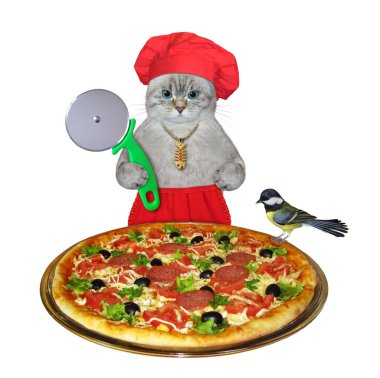 Özel bıçaklı kırmızı şef şapkalı bir kedinin yanında pizza tepsisi var. Beyaz arka plan. İzole edilmiş.