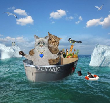 Gemi kazasından sonra bej bir kediyle küllü bir kedi denizdeki buzdağlarının arasında Catanic denen çelik bir küvette sürükleniyorlar..