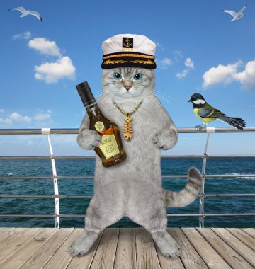 Geminin güvertesinde elinde bir şişe rom olan küllü bir kedi kaptanı var..