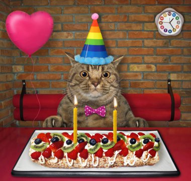 Parti şapkalı bej bir kedi, restoranda mumlu böğürtlen kreması yer..