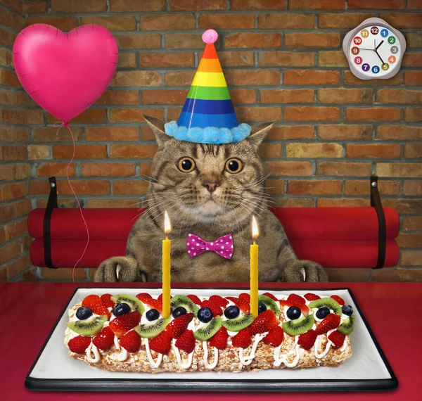Beżowy Kot Imprezowym Kapeluszu Zjada Jagodową Bezy Roulade Świecami Restauracji — Zdjęcie stockowe