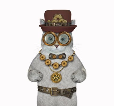 Bir kül kedisi steampunk kıyafeti giyer. Beyaz arka plan. İzole edilmiş.