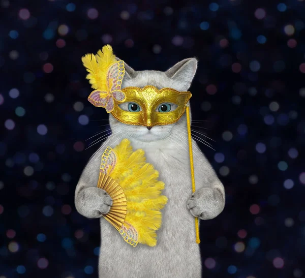 黄色いカーニバルマスクの猫が羽の扇を持っている 暗い背景 — ストック写真