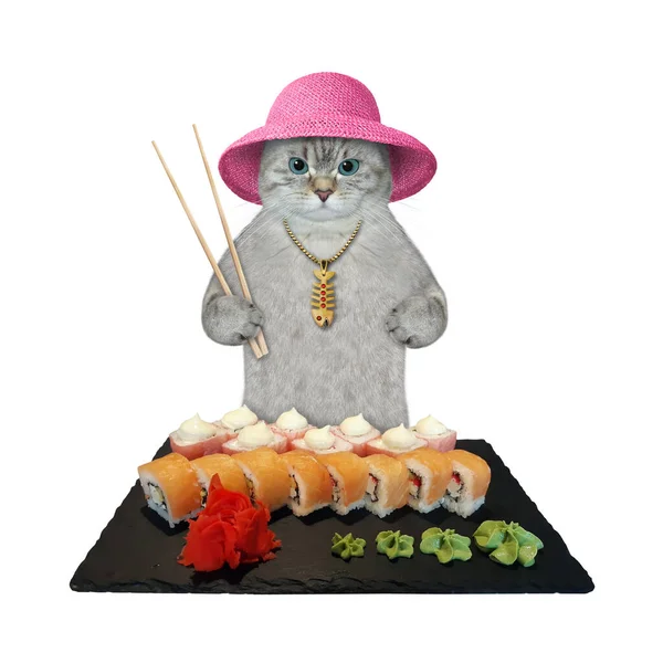 Ashen Cat Straw Hat Eats Sushi Chopsticks Black Square Tray — Stock Photo, Image