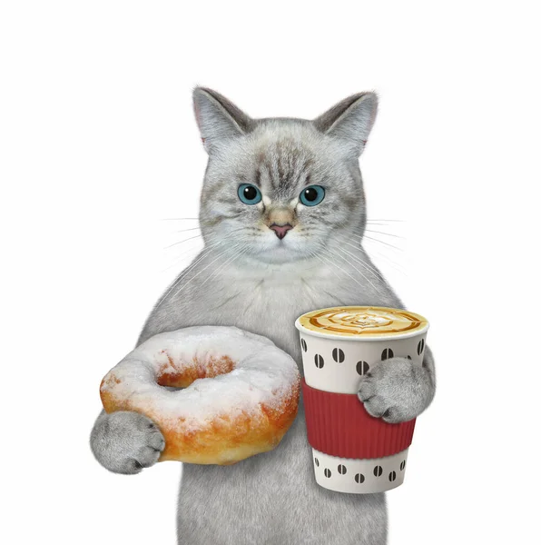 Gato Ashen Come Donut Polvilhado Com Açúcar Bebe Café Fundo — Fotografia de Stock