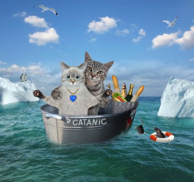 Gemi kazasından sonra gri bir kediyle küllü bir kedi denizdeki buzdağlarının arasında Catanic denen çelik bir küvette sürükleniyorlar..