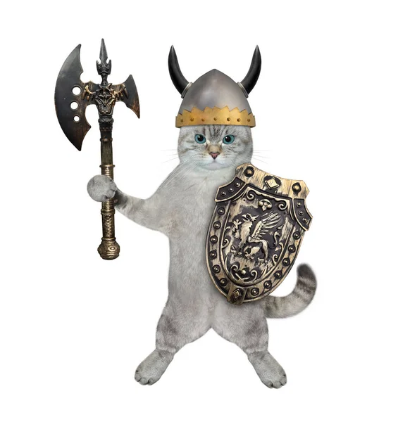 Ein Aschfarbener Katzenkrieger Mit Gehörntem Helm Hält Ein Schild Und — Stockfoto