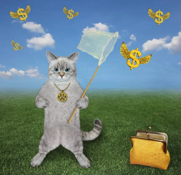 An ashen cat with a butterfly net catches gold winged dollars in the meadow.