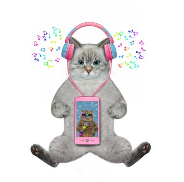 Kül kedisi pembe bir telefonda müzik dinler. Beyaz arka plan. İzole edilmiş.