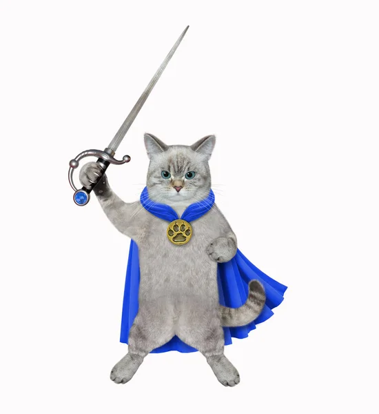Gato Ceniza Vestido Con Una Capa Azul Sostiene Una Espada — Foto de Stock