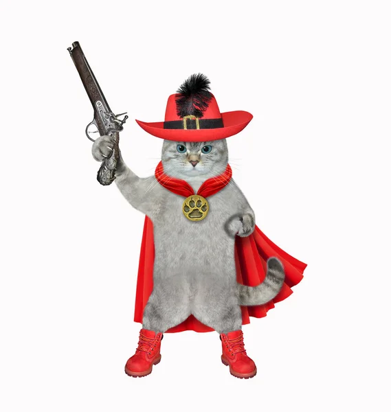 Пепельная Кошка Одела Красный Плащ Шляпа Держала Кремневый Пистолет Белый — стоковое фото