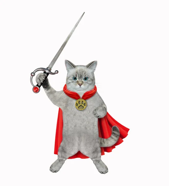 一只披着红色斗篷的灰猫拿着一把剑 白色背景 被隔离了 — 图库照片