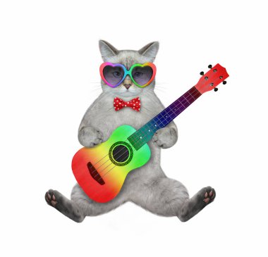 Güneş gözlüklü bir beyaz kedi renkli bir akustik gitar çalıyor ve şarkı söylüyor. Beyaz arka plan. İzole edilmiş.