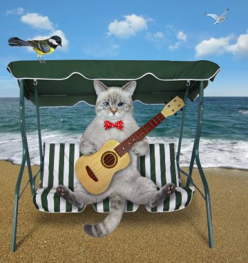 Akustik gitarlı bir küllü kedi sahilde bir plaj salıncak sandalyesinde oturur..