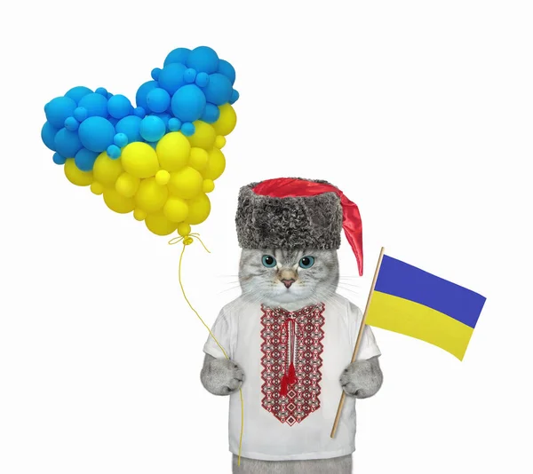 Chat Patriote Cendré Dans Une Chemise Traditionnelle Ukrainienne Tient Drapeau — Photo