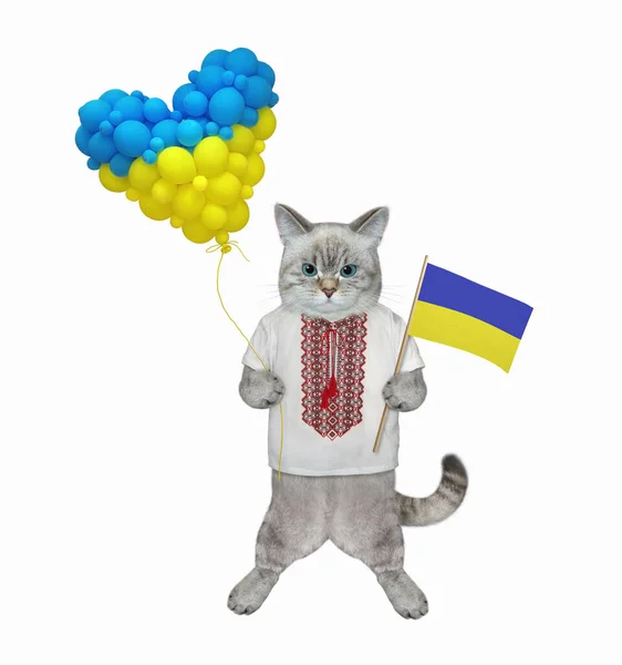 Patriota Gato Ashen Uma Camisa Tradicional Ucraniana Está Segurando Bandeira — Fotografia de Stock
