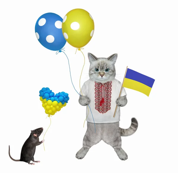 Patriota Gato Ashen Uma Camisa Tradicional Ucraniana Está Segurando Bandeira — Fotografia de Stock