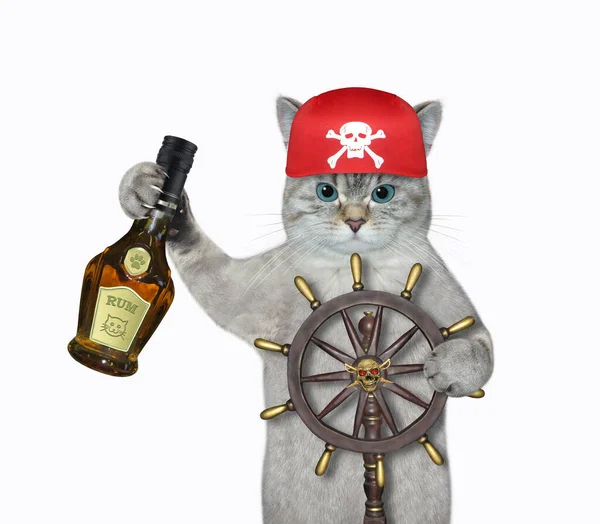 An ashen cat in a pirate bandana with a bottle of rum is at a helm of a ship. White background. Isolated.