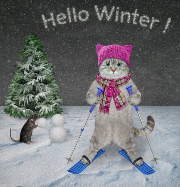 Atkı ve örgü şapka takmış bir kül kedisi ormanda kayak yapıyor. Merhaba kış..