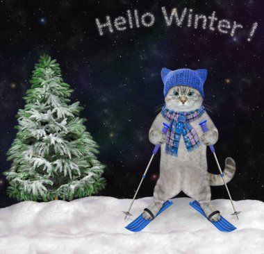 Atkı ve örgü şapka takmış bir kül kedisi ormanda kayak yapıyor. Merhaba kış..