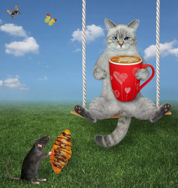 Egy Hamu Macska Egy Csésze Kávéval Hintázik Réten Egy Patkány — Stock Fotó