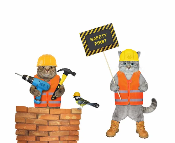 Två Kattarbetare Bygghjälmar Med Affisch Som Säger Säkerhet Först Vit — Stockfoto