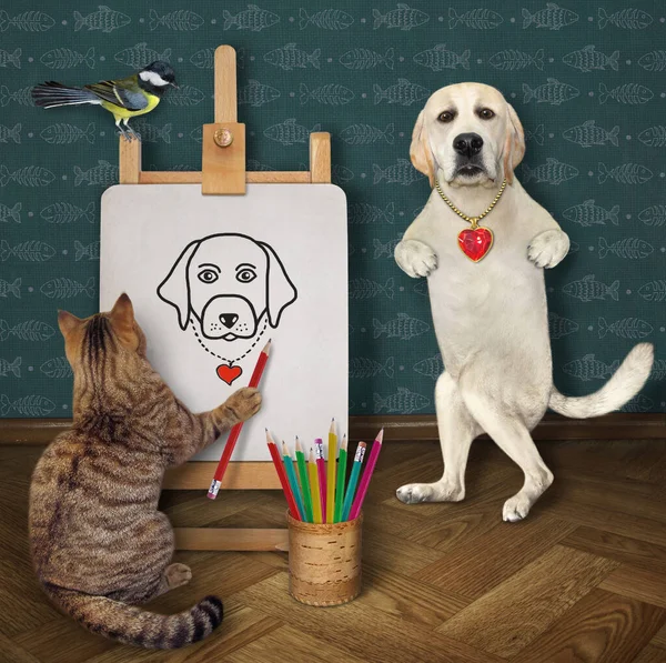 Egy Bézs Macska Művész Ceruzával Egy Kutya Labrador Portréját Festi — Stock Fotó