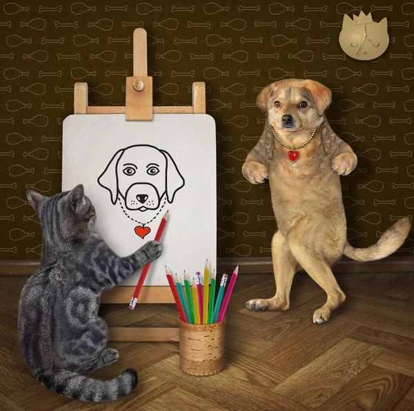 Artista Gato Cinza Com Lápis Pinta Retrato Cão Bege Uma — Fotografia de Stock