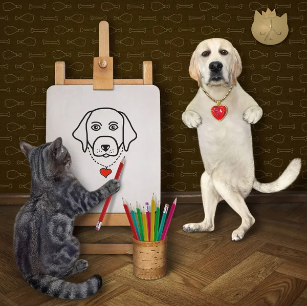 Szary Kot Artysta Ołówkiem Maluje Portret Psiego Labradora Płótnie Sztaludze — Zdjęcie stockowe