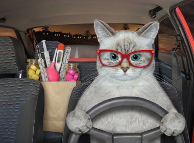 Ashen kedi doktoru gece otoyolda kırmızı bir araba kullanıyor. Yanında ilaç ve tıbbi gereçlerle dolu bir kese kağıdı var..