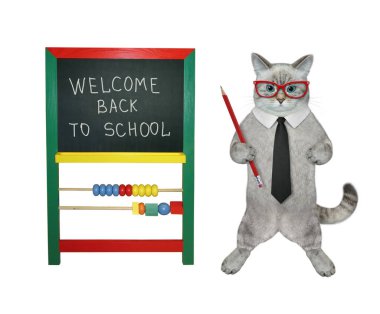 Kalemli bir kedinin kara tahtanın yanında okula hoş geldin mesajı var. Beyaz arka plan. İzole edilmiş.