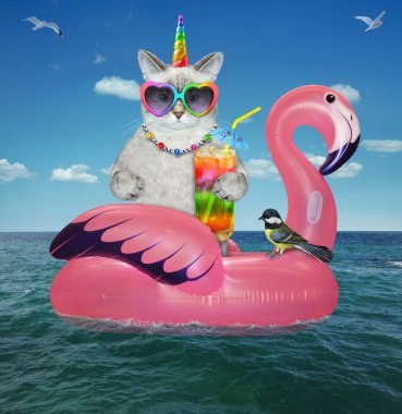 Güneş gözlüklü küllü bir caticorn bir tatil köyünde denizde şişirilebilir pembe bir flamingo üzerinde yüzüyor..