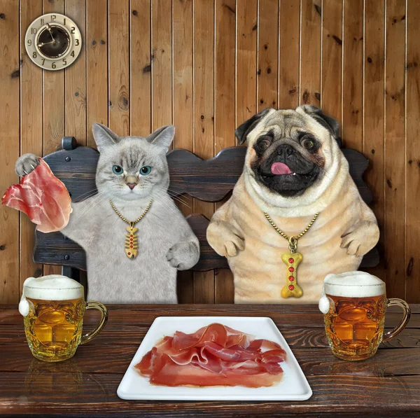 Μια Γάτα Και Ένας Σκύλος Τρώνε Ωμό Κρέας Μπύρα Ένα — Φωτογραφία Αρχείου