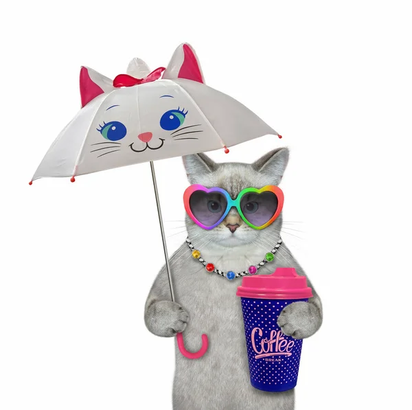 Ashen Cat Sunglasses Drinks Coffee Funny Umbrella White Background Isolated — Stock Photo, Image