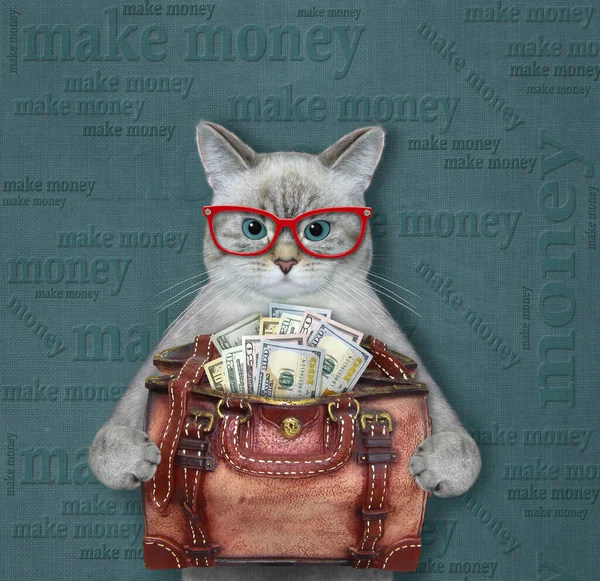 Ashen Cat Glasses Holds Leather Bag Full Dollars Make Money — Stockfoto