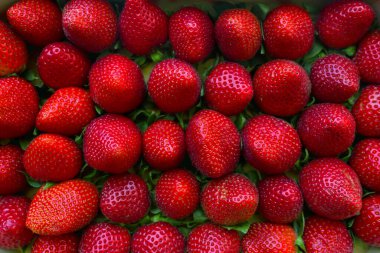 Tahta bir kutuda büyük çilekler. Taze organik böğürtlen, bahçeden sağlıklı yiyecekler..