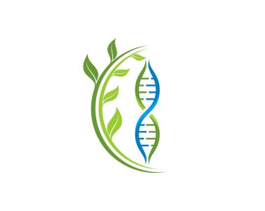DNA sarmalı ve yanında doğa yaprağı var.