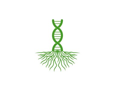 Ağaç kökleri illüstrasyonunda DNA sarmalı