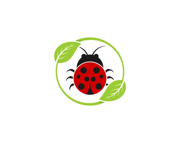 Ladybird Στη Φύση Πράσινο Φύλλο — Διανυσματικό Αρχείο