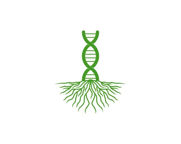 Ağaç kökleri illüstrasyonunda DNA sarmalı