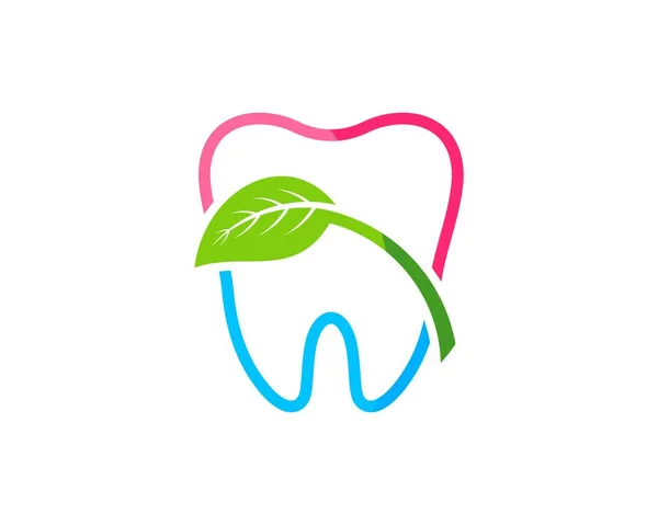 中に緑の葉を持つ健康な歯の輪郭 — ストックベクタ